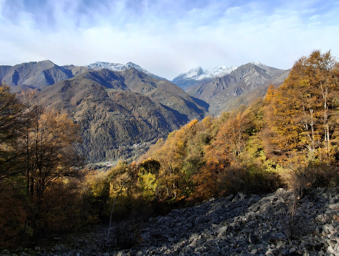 Recap Fungaria 2025: un anno di coltivazioni, eventi e sperimentazioni micologiche